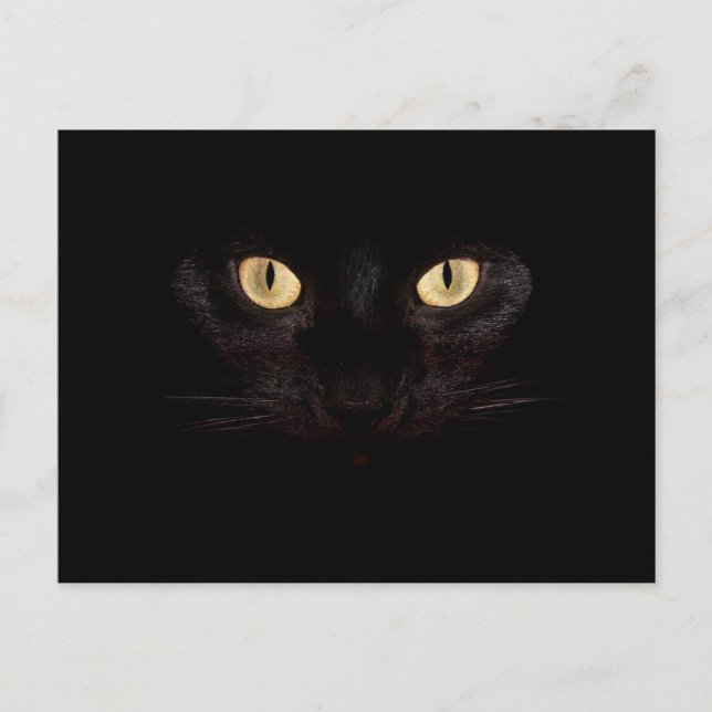 carte postale de chat noir (Devant)
