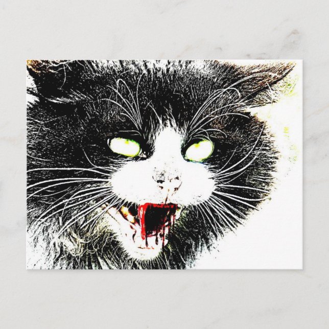 Carte postale de chat zombie (Devant)