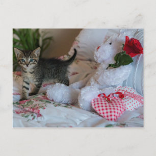 carte postale de chaton de la Saint-Valentin