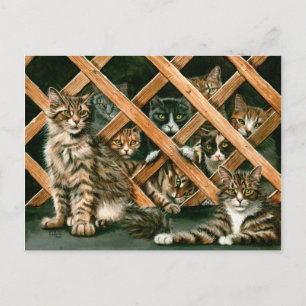 Carte postale de chats de trellis