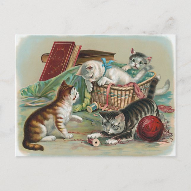 Carte postale de chats vintage (Devant)
