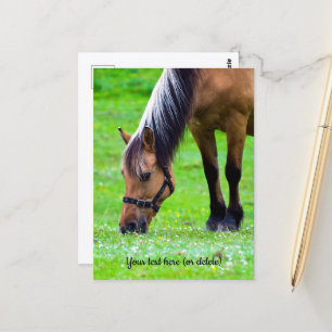 Carte postale de cheval de Fjord norvégien