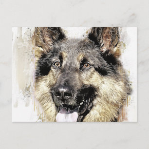 Carte postale de chien berger allemand