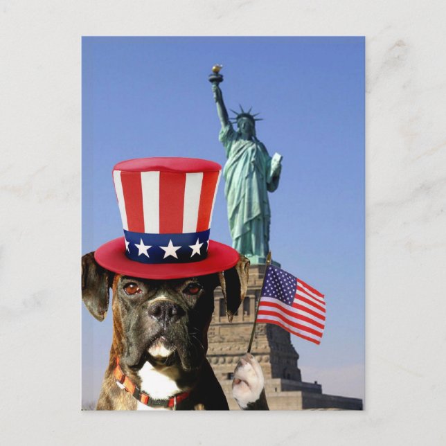 Carte postale de chien boxeur patriotique (Devant)