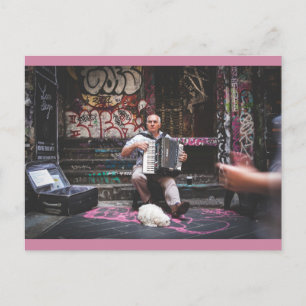 Carte postale de chien compagnon fidèle