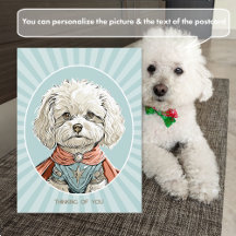 Carte postale de chien super-héros blanc Pensée po