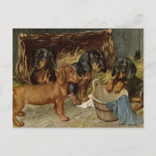 Carte postale de chiots vintage