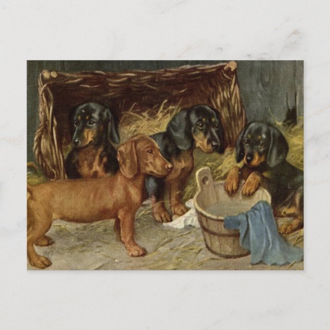 Carte postale de chiots vintage (Devant)