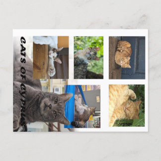 Carte postale de Chypre