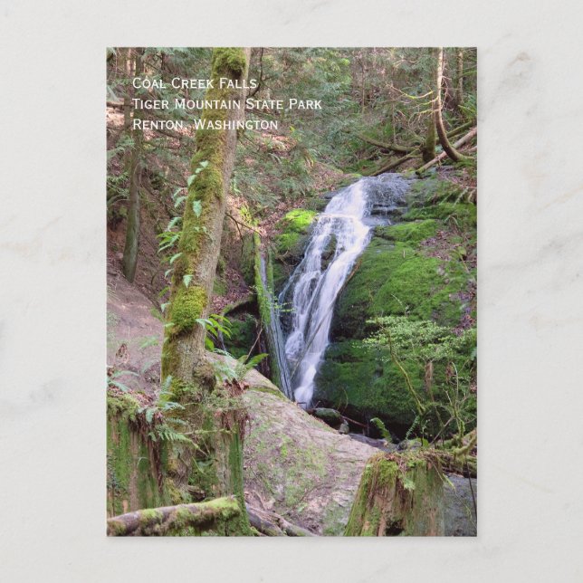 Carte postale de Coal Creek Falls (Devant)