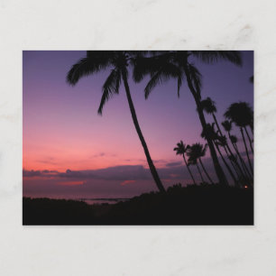 Carte postale de coucher de soleil tropical rose e