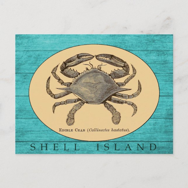 Carte postale de crabe de l'île Shell (Devant)