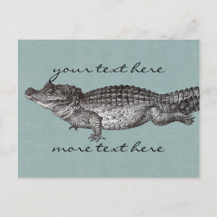 Carte postale de crocodile vintage