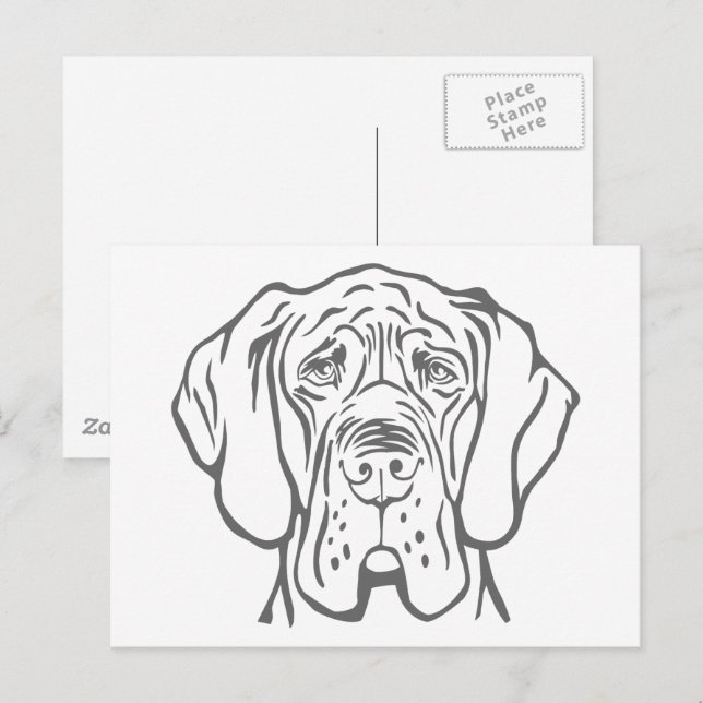 Carte postale de dessin de tête de Grand Danois (Devant / Derrière)
