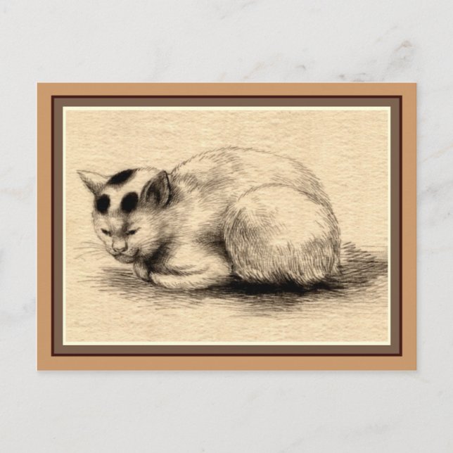 Carte postale de dessin d'encre japonaise de chat  (Devant)