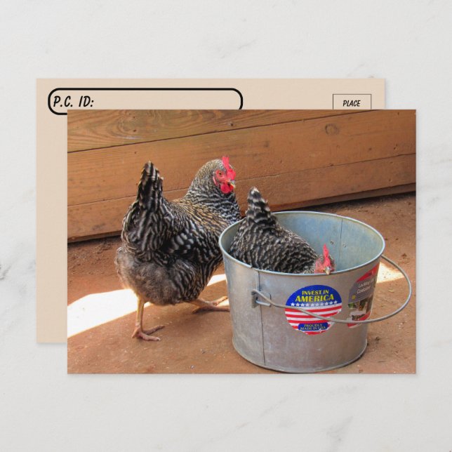 Carte postale de deux poulets sombres mignons (Devant / Derrière)