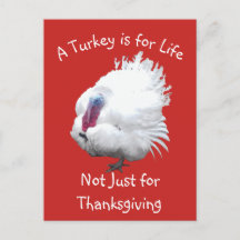 Carte postale de dinde de Thanksgiving végane