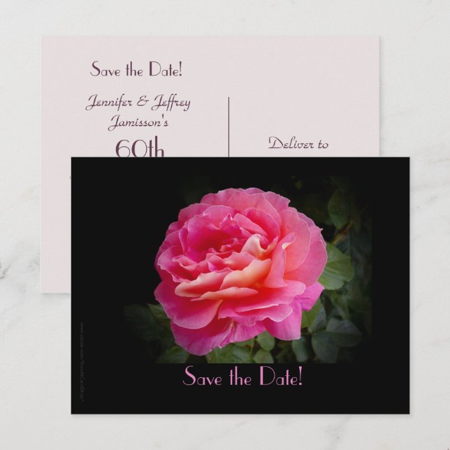 Carte postale de fête du 60e anniversaire Rose (Devant / Derrière)