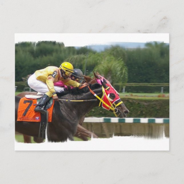 Carte postale de fin course de cheval (Devant)