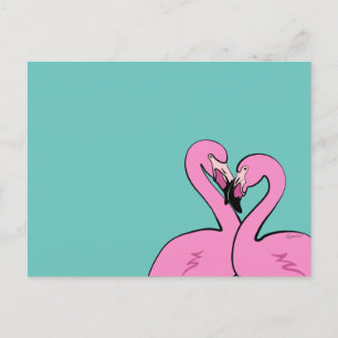 Carte postale de Flamingos