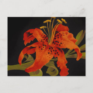 Carte postale de Fleur de Tigre