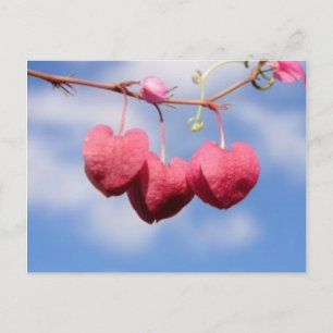 Carte postale de fleur Hanging_hearts