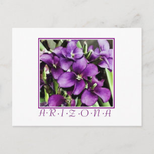 Carte postale de fleur violette d'Arizona