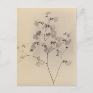Carte postale de fleurs de cerisiers japonais