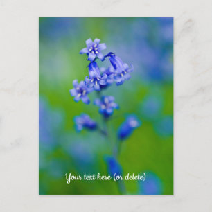 Carte postale de fleurs de jacinthe des bois