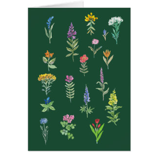 carte postale de fleurs de jardin