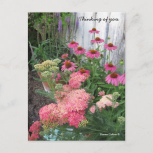 Carte postale de fleurs roses