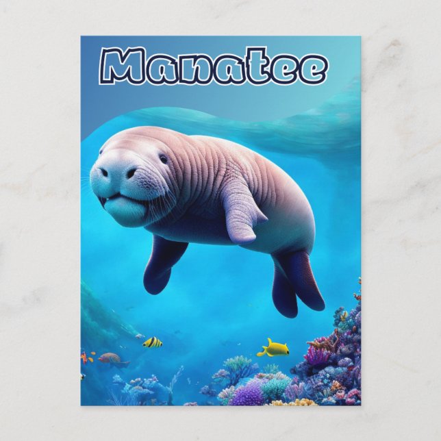 Carte postale de Floride, mignonne Manatee dans l' (Devant)