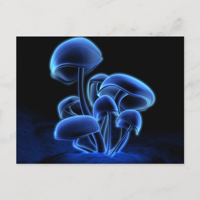 Carte postale de fluorescence (Devant)