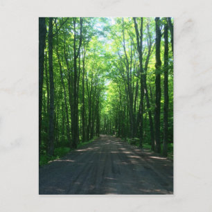 carte postale de forêt