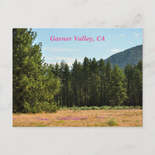 Carte postale de Garner Valley, CA