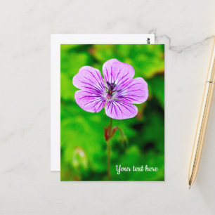 Carte postale de géranium pourpre