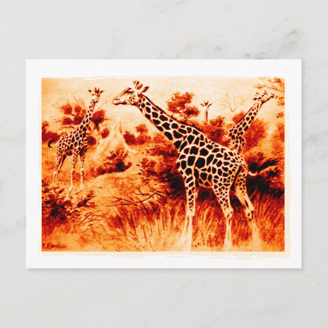 Carte postale de girafe (Devant)