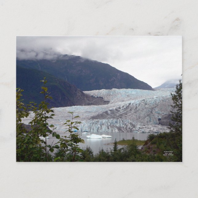 Carte postale de glacier de Mendenhall (Devant)