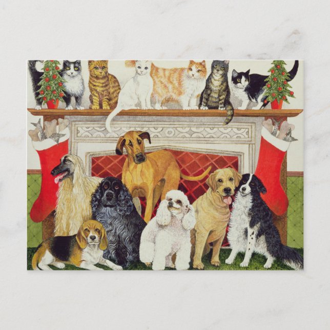 Carte Postale De grandes attentes (Devant)