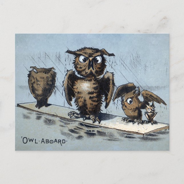 Carte postale de hiboux flottants victoriens  (Devant)