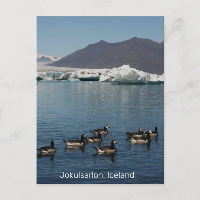 Carte postale de Jokulsarlon Islande (Devant)