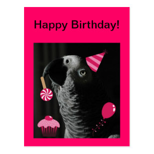 Cartes Postales Perroquet Joyeux Anniversaire Originales Zazzle Ch