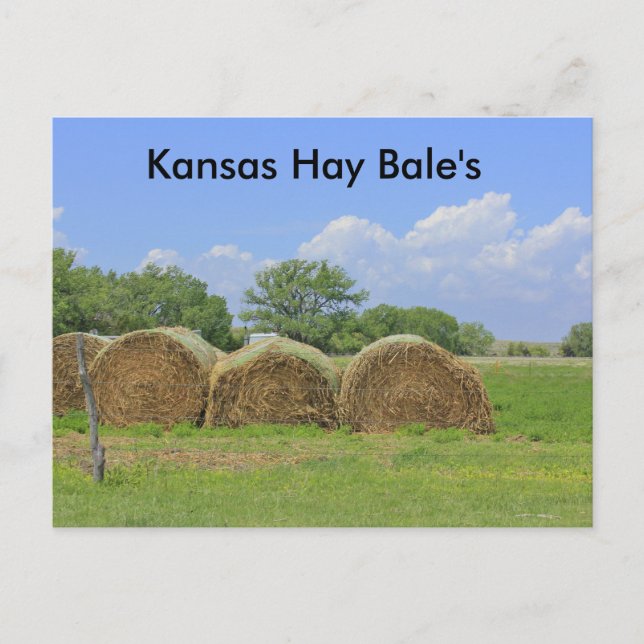 Carte postale de Kansas Hay Bale (Devant)