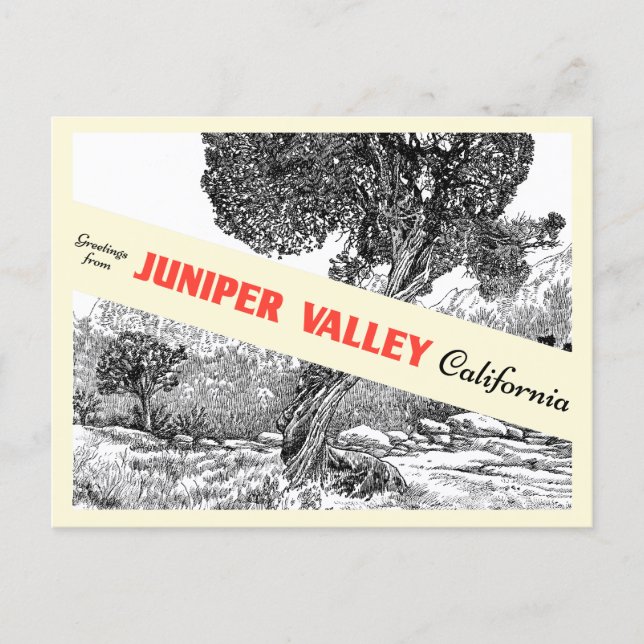Carte postale de la boutique cadeaux Juniper Valle (Devant)
