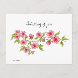 Carte postale de la branche Cherry Blossom