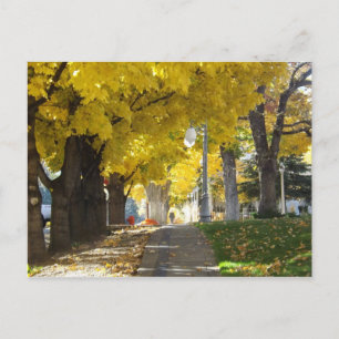 Carte postale de la canopée d'automne