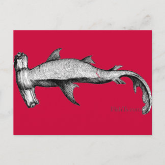 Carte Postale De la collection Sharks