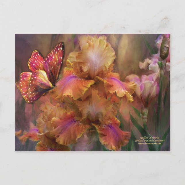 Carte Postale De La Déesse Sunrise Art (Devant)