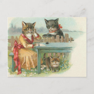 carte postale de la famille cat