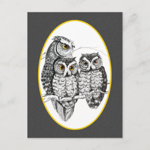 Carte postale de la famille de hiboux hulottes